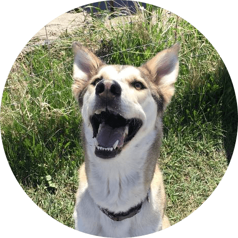 dog_testimonial1
